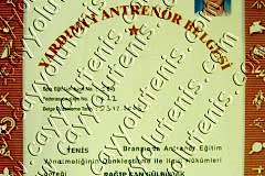 Yardımcı Antrenör Lisansı - 2003