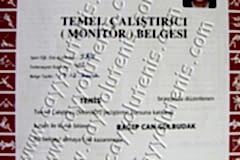 Monitor belgesi - 2002