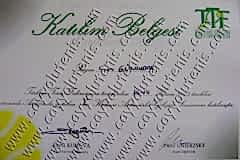 Antrenör Gelişim semineri belgesi piotr unierzsky -2005